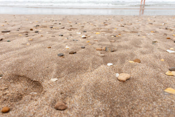 Selective approach to sand with sediment on the seashore.