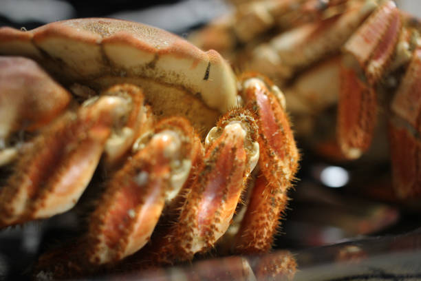 Fresh seafoods on local fish market stall.Palawan Island - Philippines.