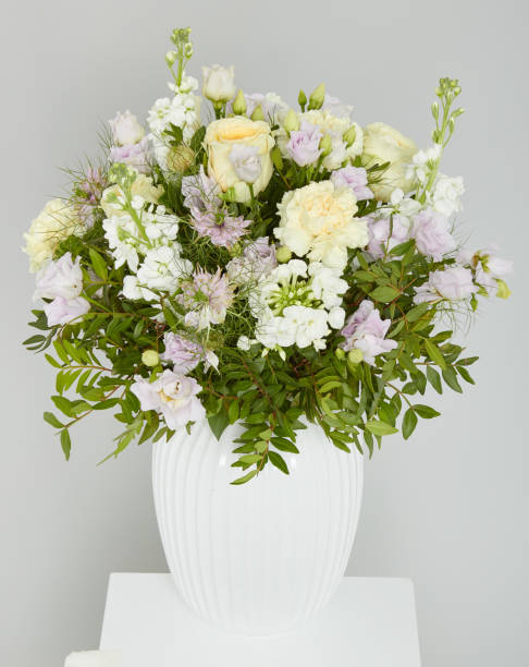 istock White flower bouquet, white vase isolated nature background with clipping path 2205447019