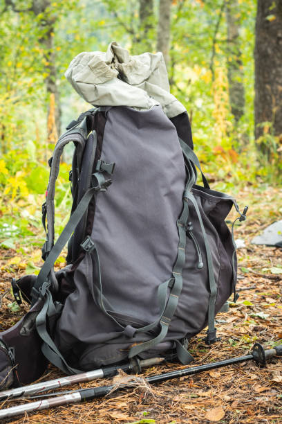 istock A gray hiking backpack with many straps and pockets stands in the forest. Close-up. Two trekking poles are lying near the backpack. There are fallen leaves and needles on the ground. 2205447196