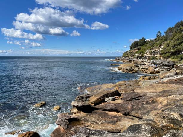 istock Scene from Bondi to Coogee Walk 2205451880