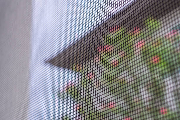 istock mosquito net wire screen on house window protection against insect 2205453667