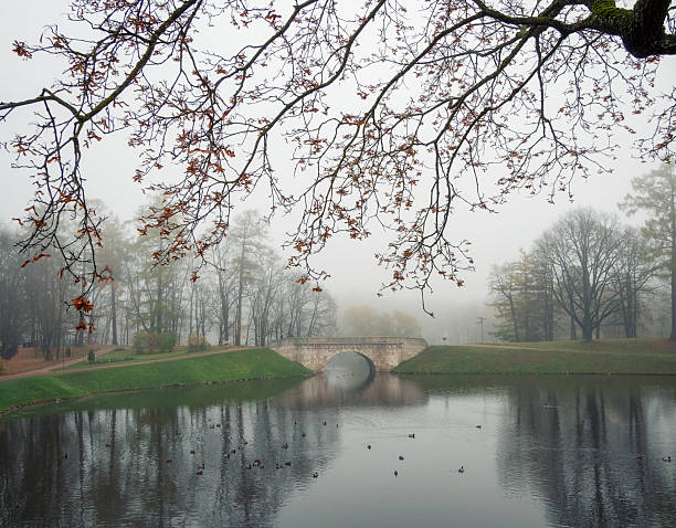 Picturesque foggy autumn landscape in State Museum Reserve Gatchina. Foggy autumn view of the park, Karpin Pond and old stone bridge.
