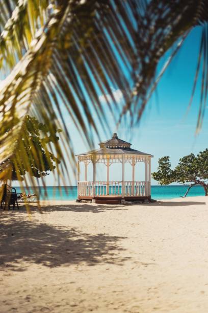 istock Beautiful Beachside Gazebo Surrounded by Palm Leaves and Clear Blue Sky 2205454075