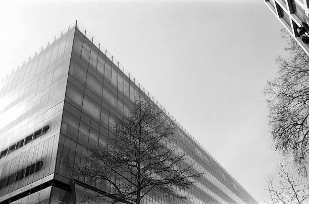 istock Modern glass building towering over bare tree in monochrome london cityscape 2205454969
