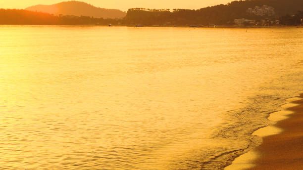 istock Golden sand beach sea peaceful scenery on the beach. 2205459885