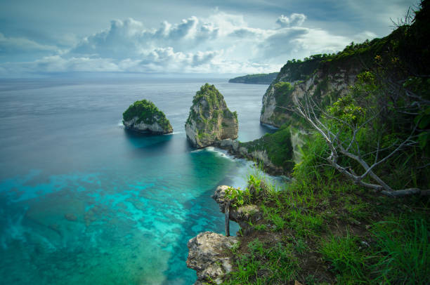 istock Holiday rentals in Bali (bali) 2205461934