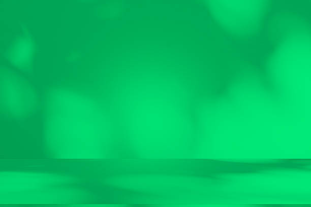 istock Studio style background wall decoration presentation uses white and green tones. with shadows cast from a nearby window, concept creating a decorative 2205466036