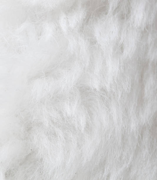 istock The image is a close up of a white fur texture 2205467587
