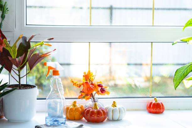 istock Pumpkin decor and window cleaning products are lying on windowsill with rag, spray inside interior with home plants on windowsill. Restoring order and cleanliness in autumn, cleaning servise 2205470831