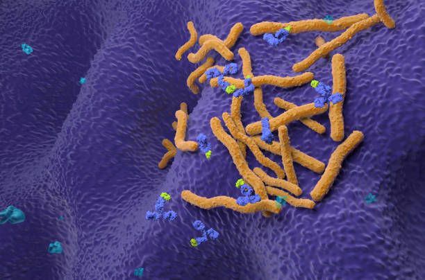 istock Monoclonal antibody therapy in Helicobacter pylori - isometric view 3d illustration 2205474965