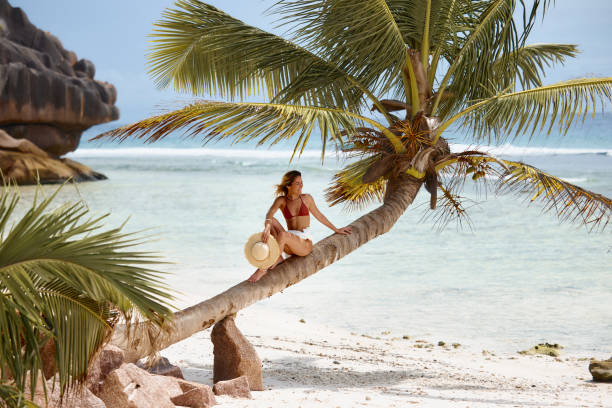 istock Young happy woman relaxing on a palm tree at the beach. 2205478976