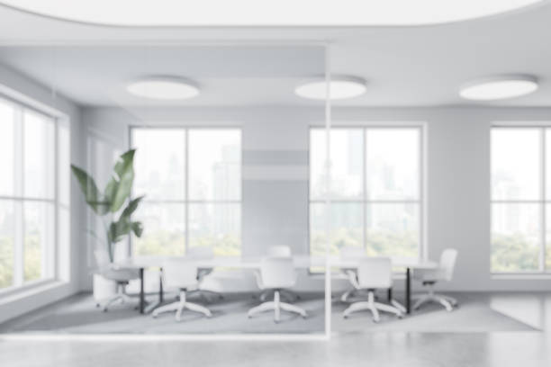 istock Modern office meeting room with white chairs and plant. 3D Rendering 2205479197