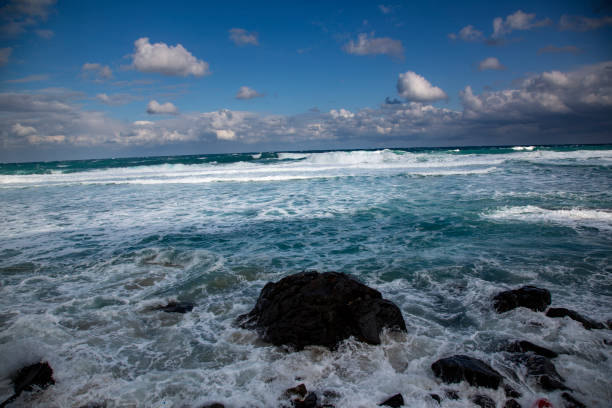 The dynamic spring sea of ​​Amami Oshima