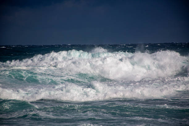 istock The dynamic spring sea of ​​Amami Oshima 2205485009