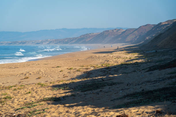 istock The Beach at Fort Ord State Park in Monterey 2205486573