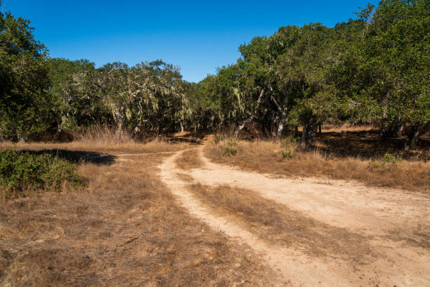 Fort Ord National Monument, California