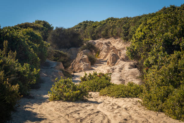 Fort Ord National Monument, California