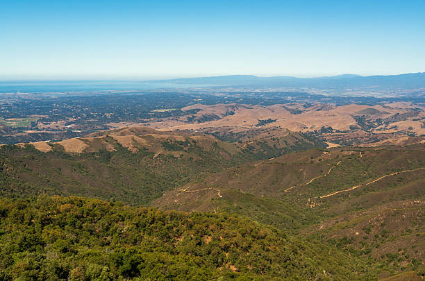 istock Forest Overlook at Fremont Peak State Park in California 2205487724