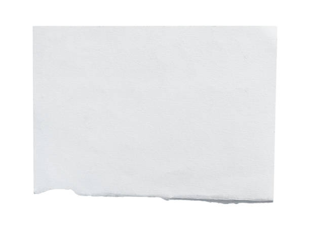 istock White ripped piece of paper isolated on white background Clipping path 2205487939