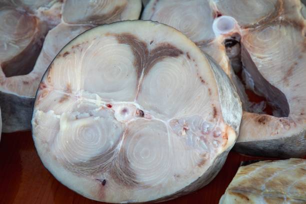 istock Close-up of a cut fish 2205489635