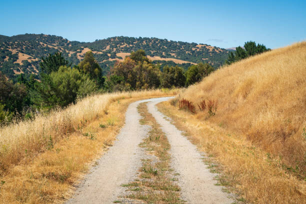 Fort Ord National Monument, California
