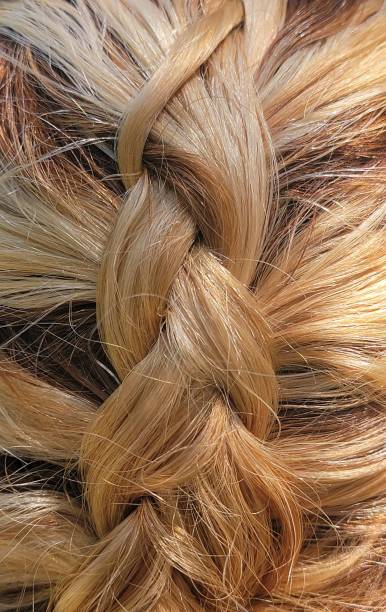 istock Detailed Blonde Hair Braid Close-Up 2205493430