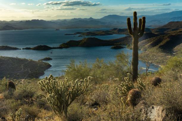 istock Desert Landscape with Saguaro and Lake 2205493459