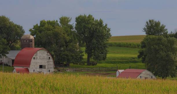 istock Rural farm landscape with red-roofed barns and lush green fields under a cloudy sky. 2205494381