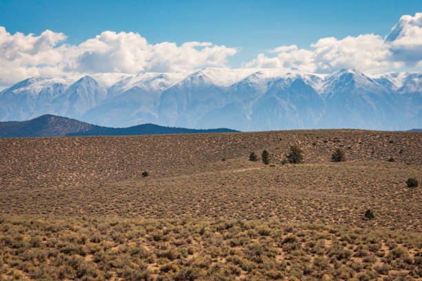 Mono-Inyo National Forest in California