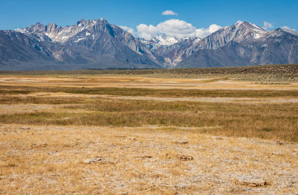istock Mountainous Landscape at Inyo National Forest 2205495650