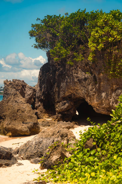istock coral cave covered in foliage with large rocks on a sandy beach at white beach, boracay. 2205495968