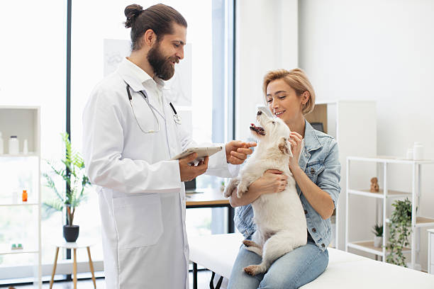 istock Veterinarian examines dog with owner at clinic during routine check-up visit 2205496847