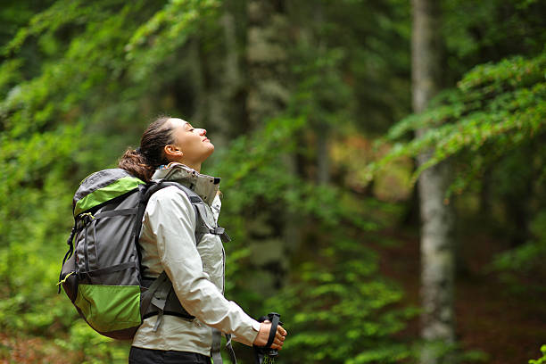 istock Hikker breathing fresh air standing in a forest 2205498486