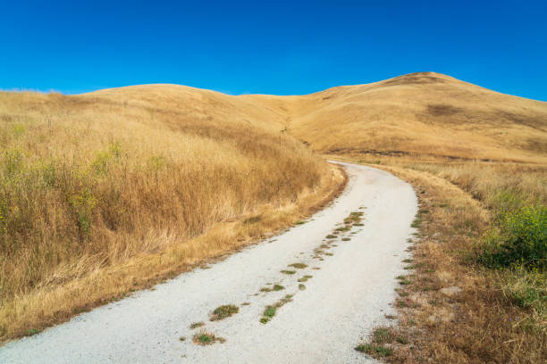 istock Army Built Road, Fort Ord National Monument 2205498640