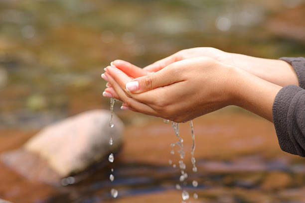 istock Woman hands catching water from river ready to drink 2205498912