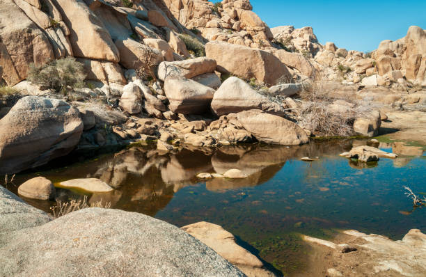 istock Barker Dam at Joshua Tree National Park, California 2205499029