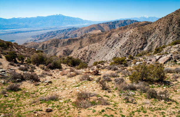 istock Mountain Range, Joshua Tree National Park, California 2205500285