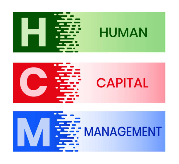Hcm Vector 40+ Human Capital Services Stock Illustrations, Royalty-Free Vector ...