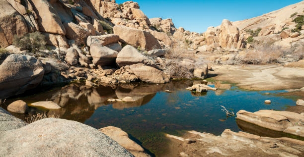 istock Barker Dam at Joshua Tree National Park, California 2205504517
