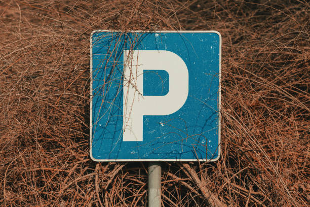 Parking lot sign in front of a tree