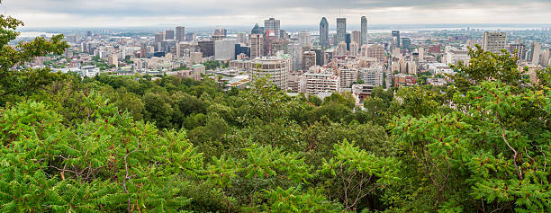 istock Montreal Skyline on a Clear Summer Day 2205505983