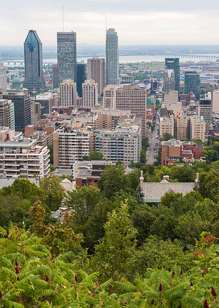 istock Montreal Skyline on a Clear Summer Day 2205506514