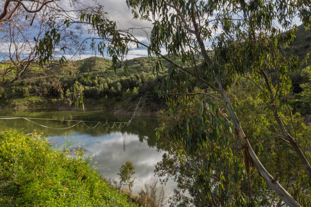 istock Eucalyptus branches framing a serene lake landscape with hills 2205506990