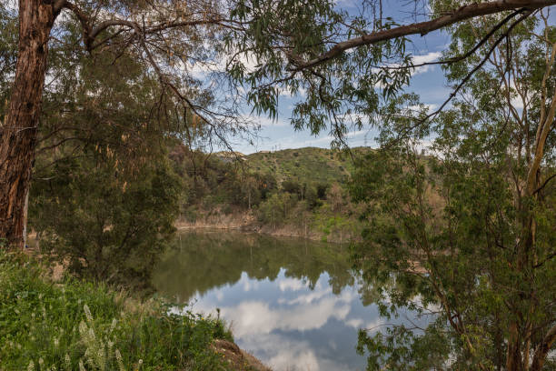 Clouds are reflecting on the surface of a tranquil lake nestled amidst lush vegetation and rolling hills
