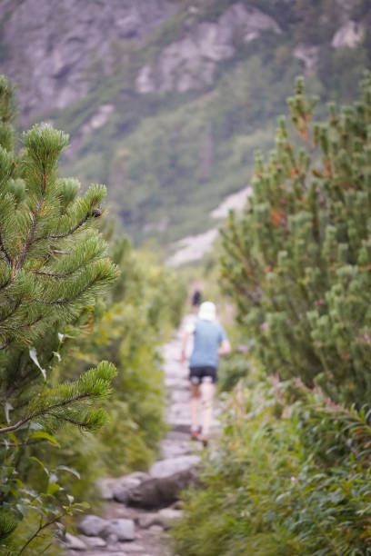 Person running away on a rocky mountain path between pine trees with steep mountain background, High Tatra mountains, Slovakia