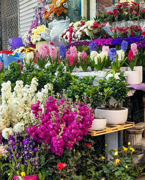 istock Nowruz holidays in Rasht/Iran 2205509003