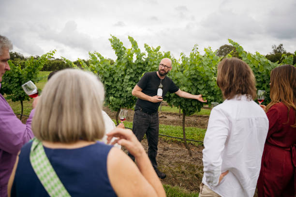 istock Wine tasting guests on tour of vineyard with guide 2205509919
