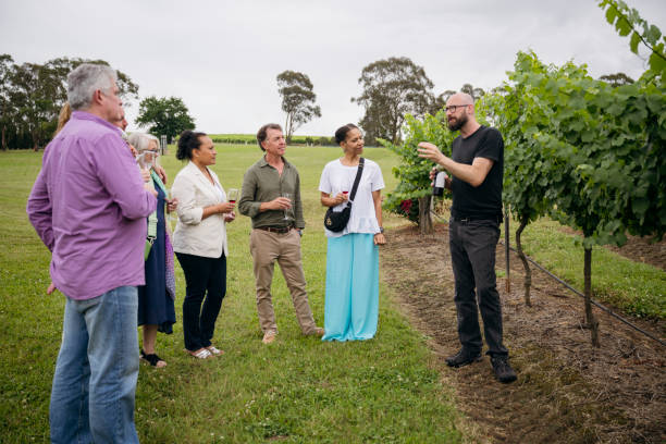 istock Vineyard tour guide educating wine tasting event guests 2205509930