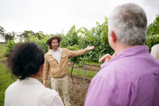Wine tasting tour guide walking guests through vineyard